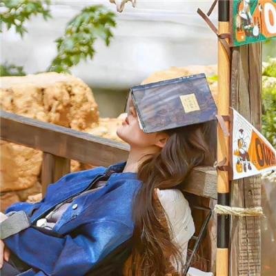 在梦中和现实中飞翔